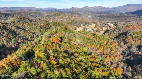 Tiny photo for Bear Den Rd, Townsend, TN 37882 (MLS # 1320212)