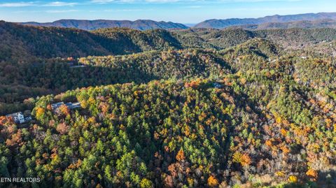 Tiny photo for Bear Den Rd, Townsend, TN 37882 (MLS # 1320212)