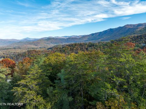 Tiny photo for Bear Den Rd, Townsend, TN 37882 (MLS # 1320212)