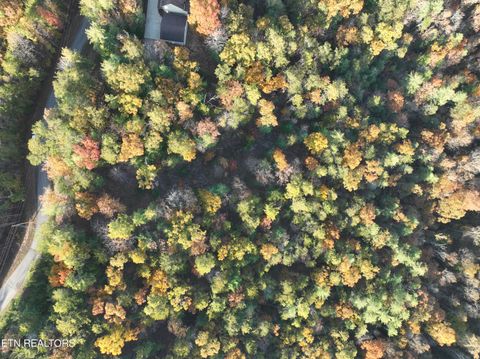 Tiny photo for Bear Den Rd, Townsend, TN 37882 (MLS # 1320212)