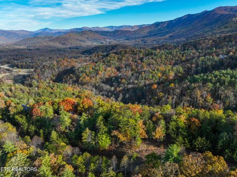 Tiny photo for Bear Den Rd, Townsend, TN 37882 (MLS # 1320212)