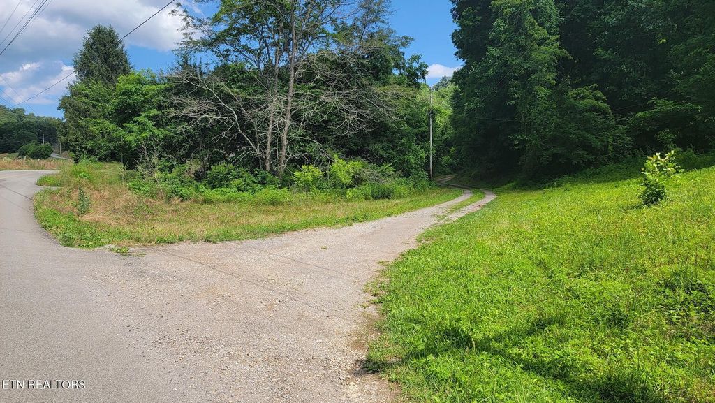 Photo of 2 Lone Mountain Rd, New Tazewell, TN 37825 (MLS # 1245271)