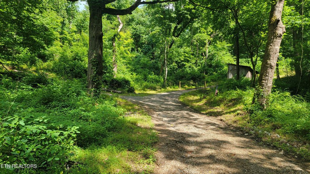 Photo of 2 Lone Mountain Rd, New Tazewell, TN 37825 (MLS # 1245271)