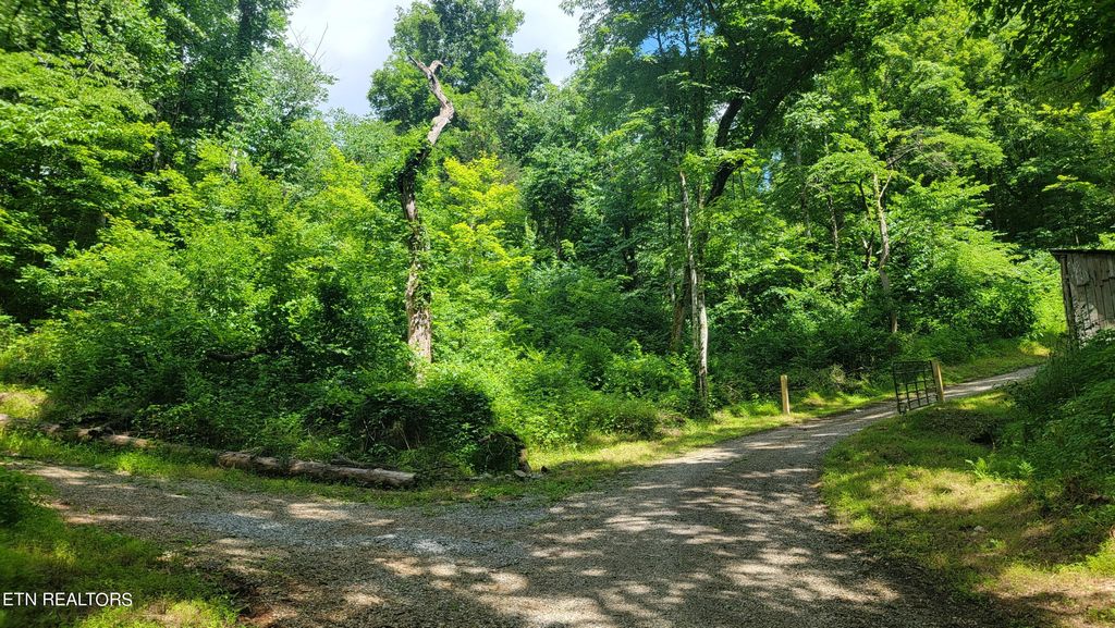 Photo of 2 Lone Mountain Rd, New Tazewell, TN 37825 (MLS # 1245271)