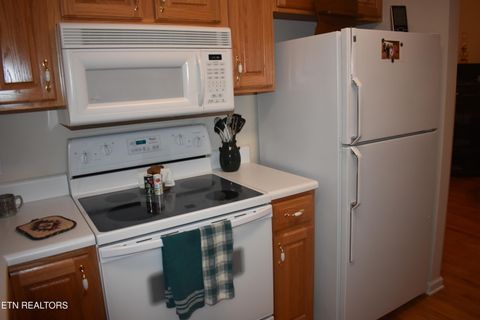 Tiny photo for 521 Jefferson Rd, Gatlinburg, TN 37738 (MLS # 1317007)