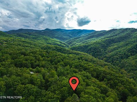 Tiny photo for 521 Jefferson Rd, Gatlinburg, TN 37738 (MLS # 1317007)