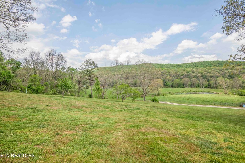 Photo of 481 Piney Creek Rd, Rockwood, TN 37854 (MLS # 1337566)