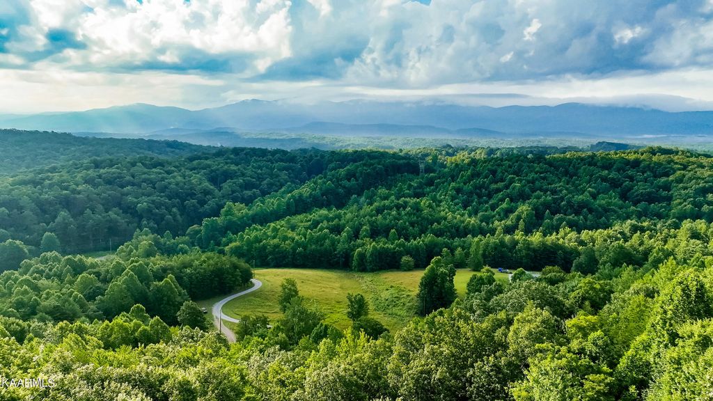 Photo of 10704 Highway 68, Tellico Plains, TN 37385 (MLS # 1232107)