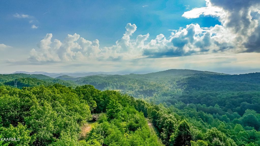 Photo of 10704 Highway 68, Tellico Plains, TN 37385 (MLS # 1232107)
