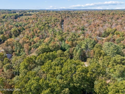 Tiny photo for 1009 Seneca Court, Crossville, TN 38572 (MLS # 1359887)