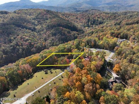 Tiny photo for 158 Cheri Lane, Caryville, TN 37714 (MLS # 1333707)