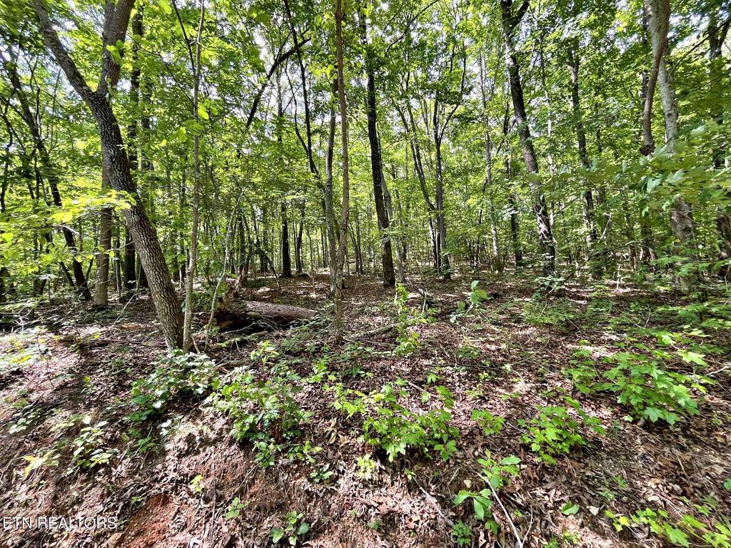 Photo of 2 Raby Hollow Road, Kingston, TN 37763 (MLS # 1307590)