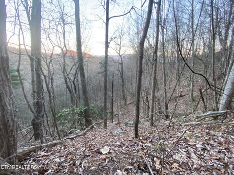 Photo of 36 Elderberry Drive, Sevierville, TN 37876 (MLS # 1356496)