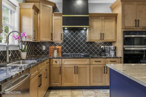 Tiny photo for 217 Paradise Lane, Maryville, TN 37801 (MLS # 1340660)