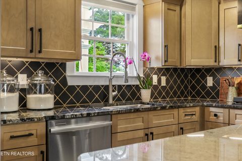 Tiny photo for 217 Paradise Lane, Maryville, TN 37801 (MLS # 1340660)