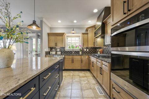 Tiny photo for 217 Paradise Lane, Maryville, TN 37801 (MLS # 1340660)