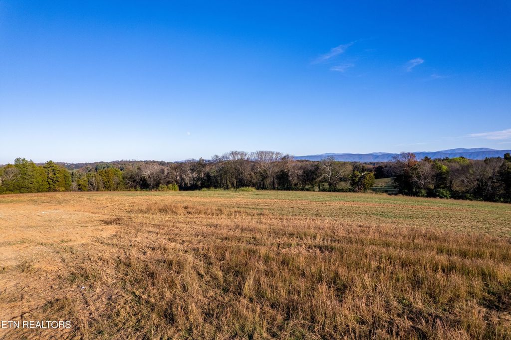 Photo of 355 Meadow Rd, Greenback, TN 37742 (MLS # 1284181)