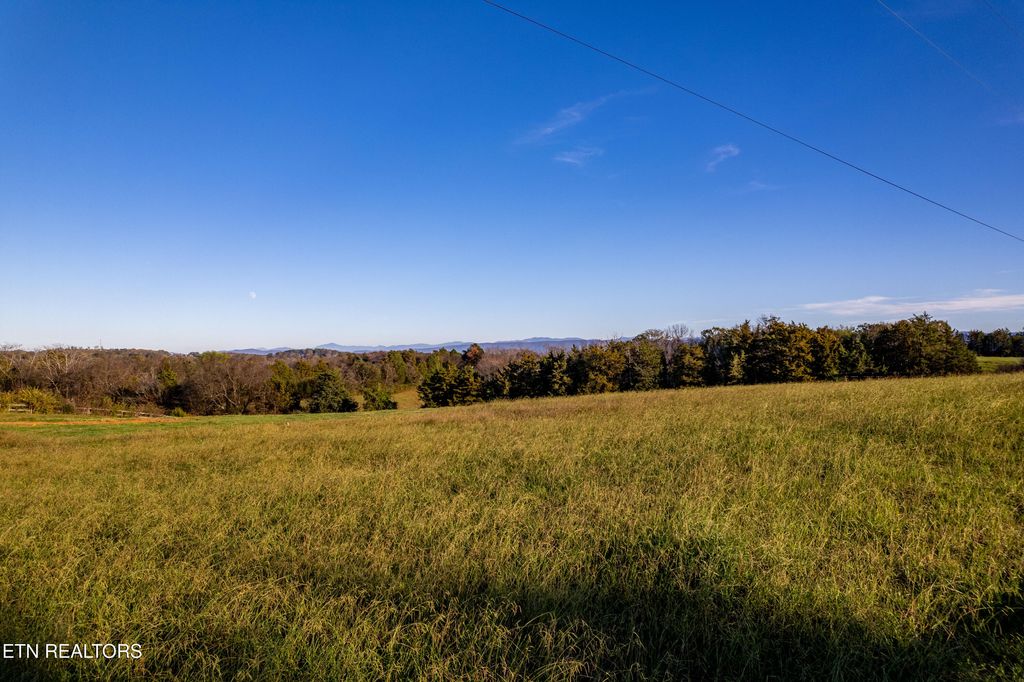 Photo of 355 Meadow Rd, Greenback, TN 37742 (MLS # 1284181)