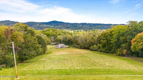 Tiny photo for 109 W Kentucky Ave, LaFollette, TN 37766 (MLS # 1359479)