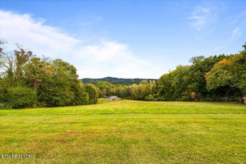 Tiny photo for 109 W Kentucky Ave, LaFollette, TN 37766 (MLS # 1359479)