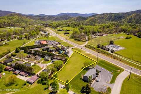 Tiny photo for 8017 E Lamar Alex Pkwy, Townsend, TN 37882 (MLS # 1336137)