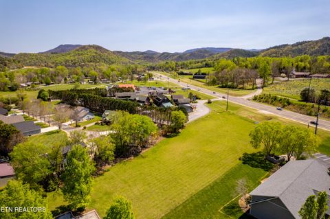 Photo of 8017 E Lamar Alex Pkwy, Townsend, TN 37882 (MLS # 1336137)