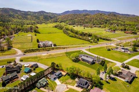 Tiny photo for 8017 E Lamar Alex Pkwy, Townsend, TN 37882 (MLS # 1336137)