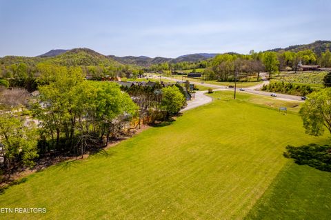 Tiny photo for 8017 E Lamar Alex Pkwy, Townsend, TN 37882 (MLS # 1336137)