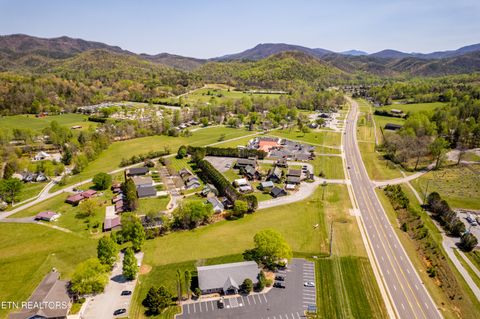 Tiny photo for 8017 E Lamar Alex Pkwy, Townsend, TN 37882 (MLS # 1336137)