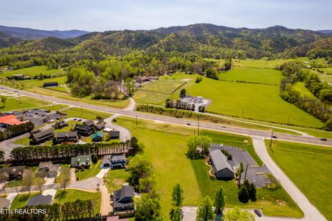 Tiny photo for 8017 E Lamar Alex Pkwy, Townsend, TN 37882 (MLS # 1336137)