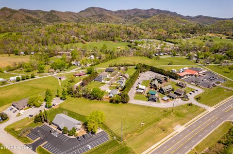 Tiny photo for 8017 E Lamar Alex Pkwy, Townsend, TN 37882 (MLS # 1336137)