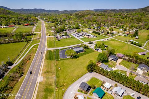 Tiny photo for 8017 E Lamar Alex Pkwy, Townsend, TN 37882 (MLS # 1336137)