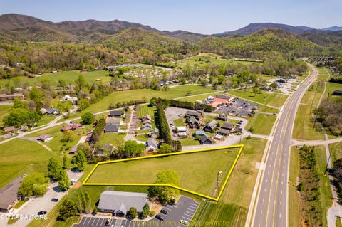 Tiny photo for 8017 E Lamar Alex Pkwy, Townsend, TN 37882 (MLS # 1336137)