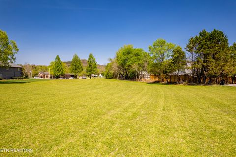 Tiny photo for 8017 E Lamar Alex Pkwy, Townsend, TN 37882 (MLS # 1336137)