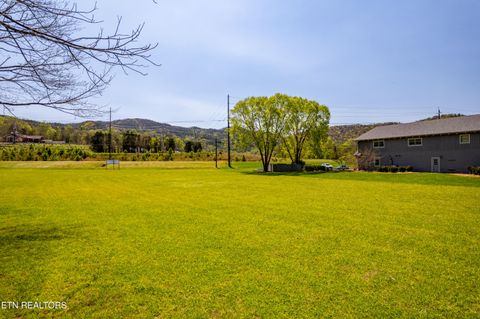 Tiny photo for 8017 E Lamar Alex Pkwy, Townsend, TN 37882 (MLS # 1336137)