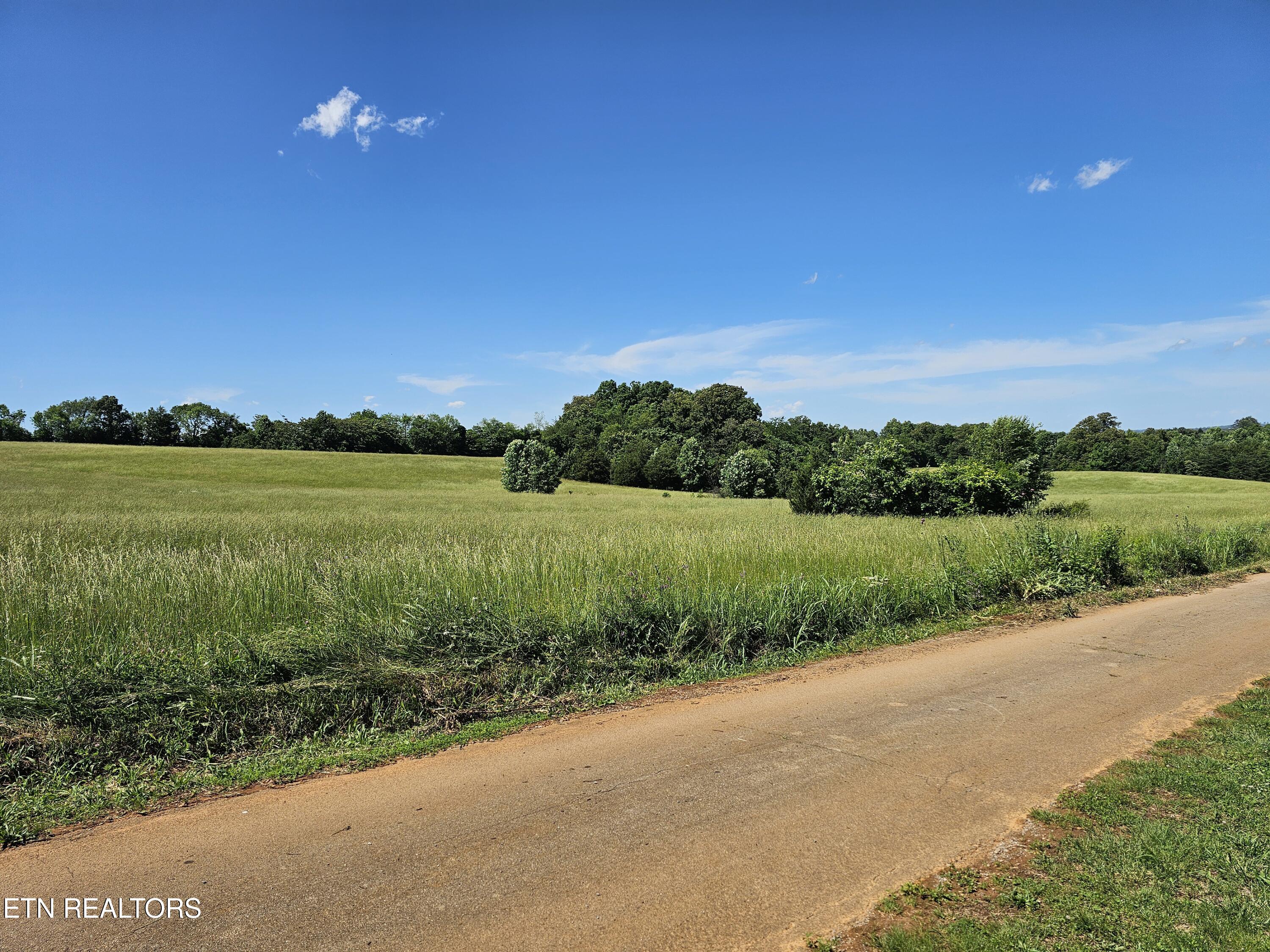 359 Thompson Bridge Rd