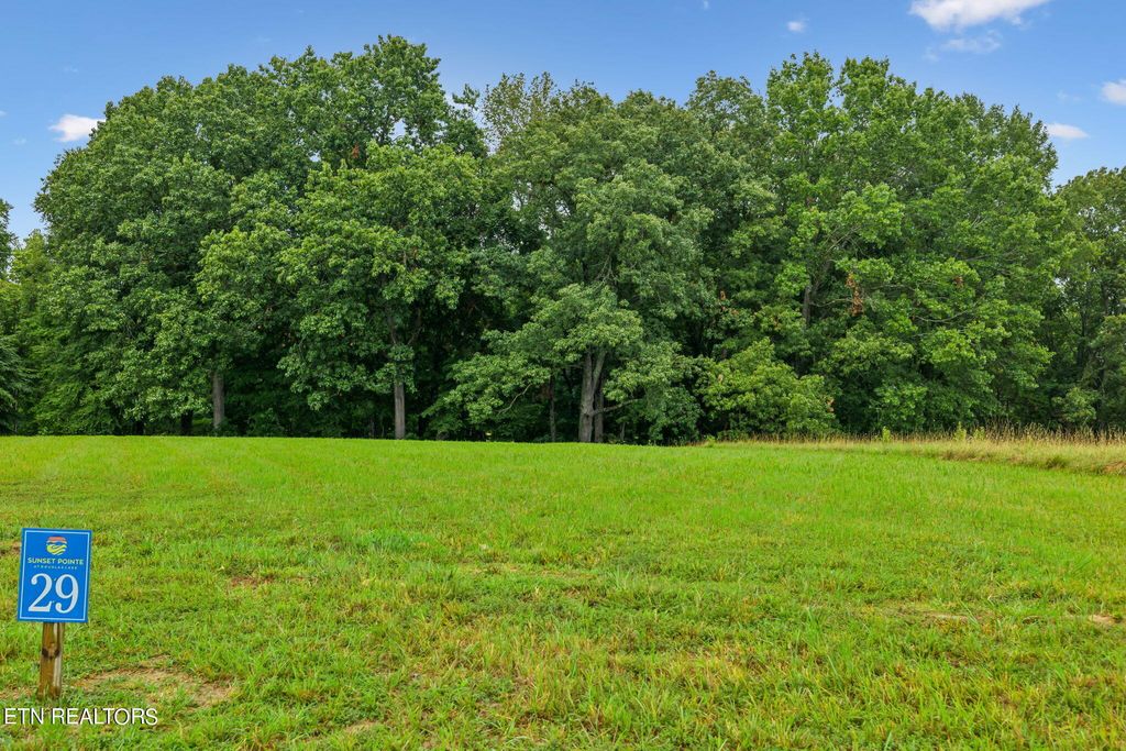 Photo of Lot 29 Nightfall Lane, White Pine, TN 37890 (MLS # 1271127)