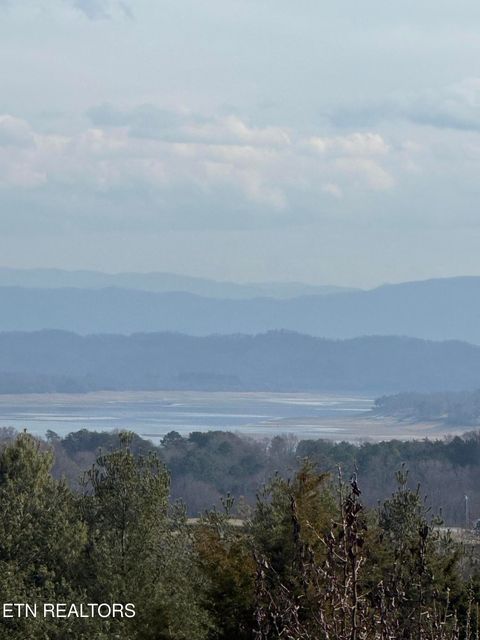 Tiny photo for 2826 Homestead Drive, White Pine, TN 37890 (MLS # 1329227)