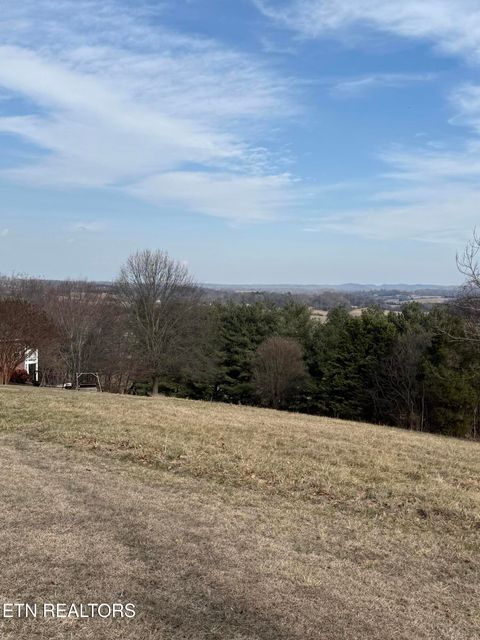 Tiny photo for 2826 Homestead Drive, White Pine, TN 37890 (MLS # 1329227)