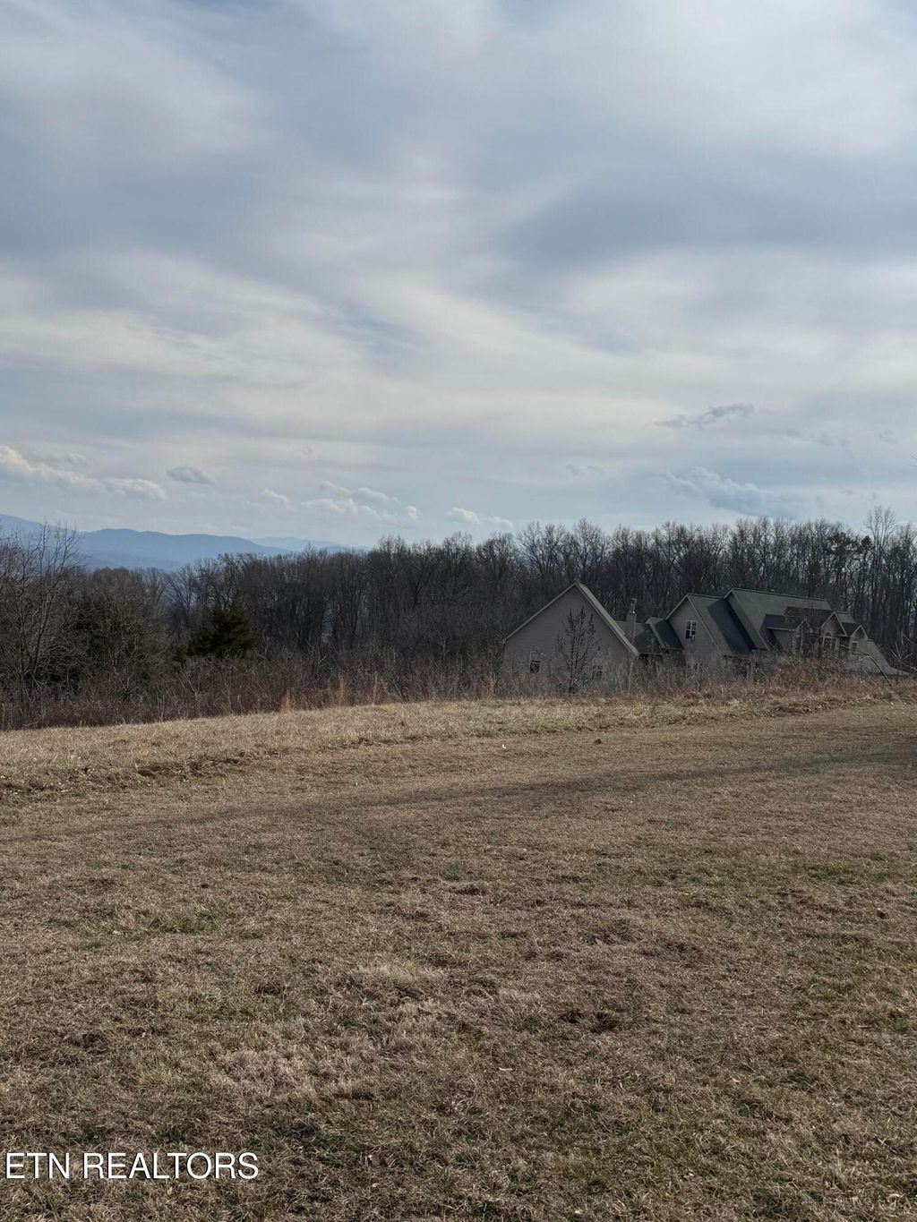 Photo of 2826 Homestead Drive, White Pine, TN 37890 (MLS # 1329227)