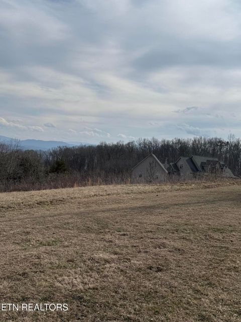 Tiny photo for 2826 Homestead Drive, White Pine, TN 37890 (MLS # 1329227)
