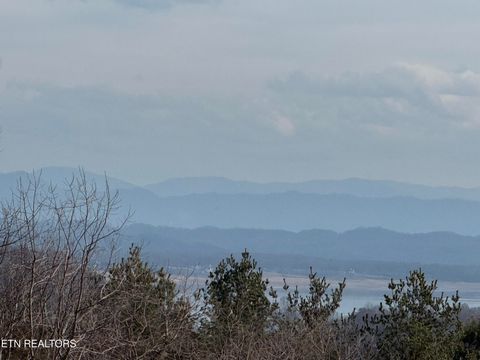 Tiny photo for 2826 Homestead Drive, White Pine, TN 37890 (MLS # 1329227)