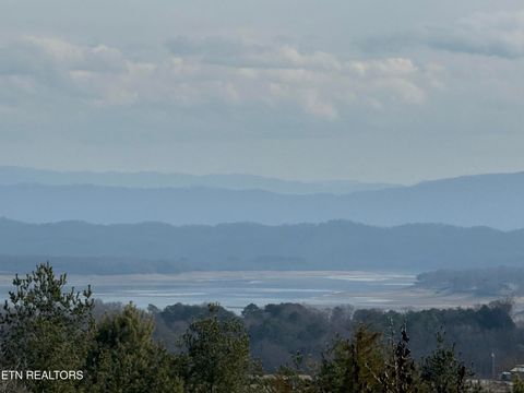 Tiny photo for 2826 Homestead Drive, White Pine, TN 37890 (MLS # 1329227)