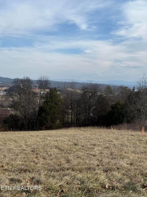 Tiny photo for 2826 Homestead Drive, White Pine, TN 37890 (MLS # 1329227)