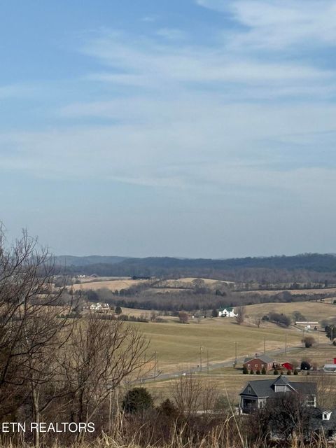 Tiny photo for 2826 Homestead Drive, White Pine, TN 37890 (MLS # 1329227)