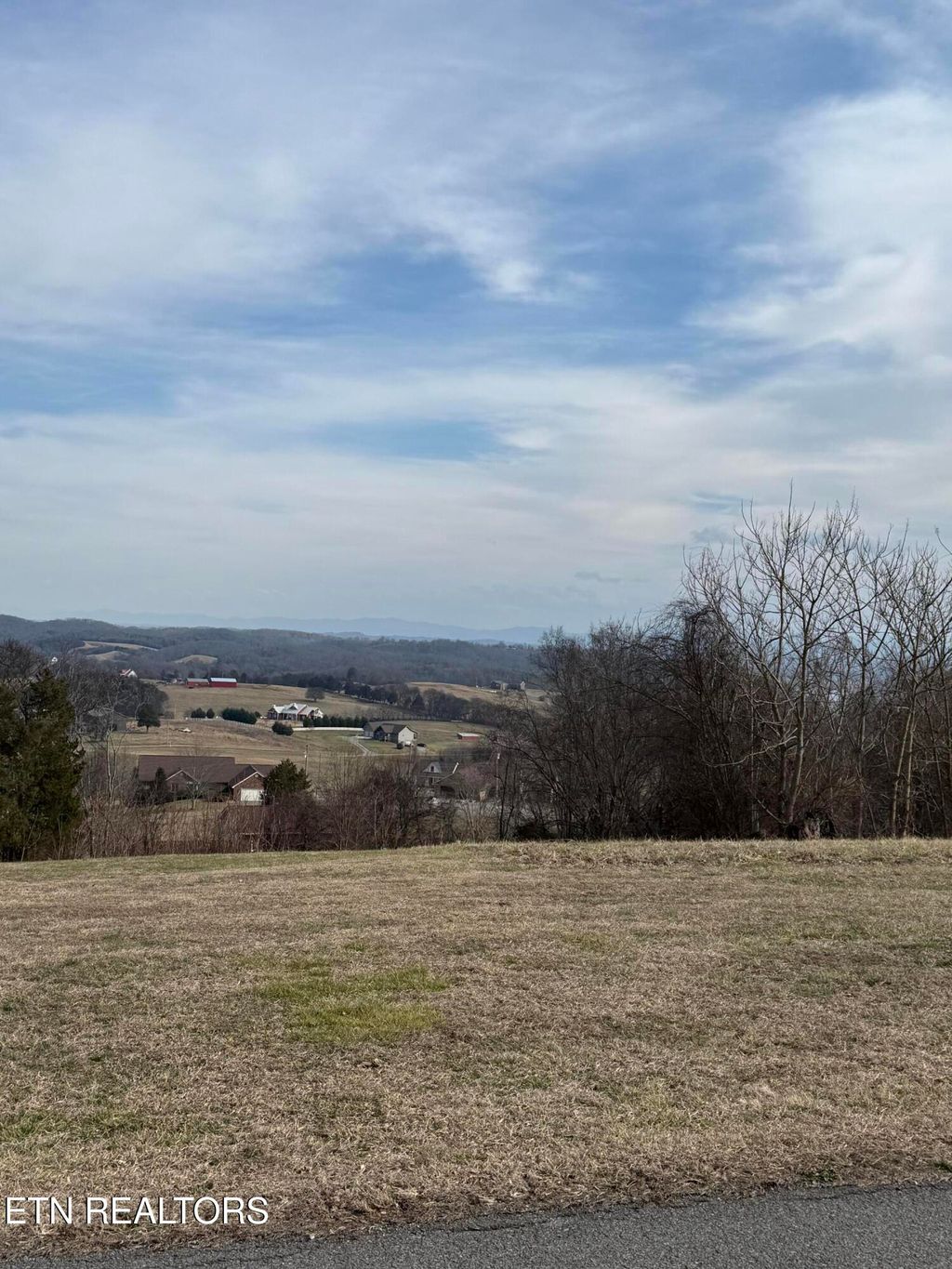 Photo of 2826 Homestead Drive, White Pine, TN 37890 (MLS # 1329227)