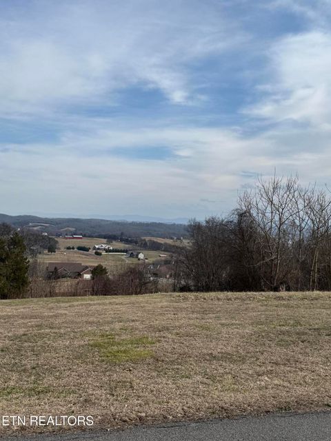 Tiny photo for 2826 Homestead Drive, White Pine, TN 37890 (MLS # 1329227)