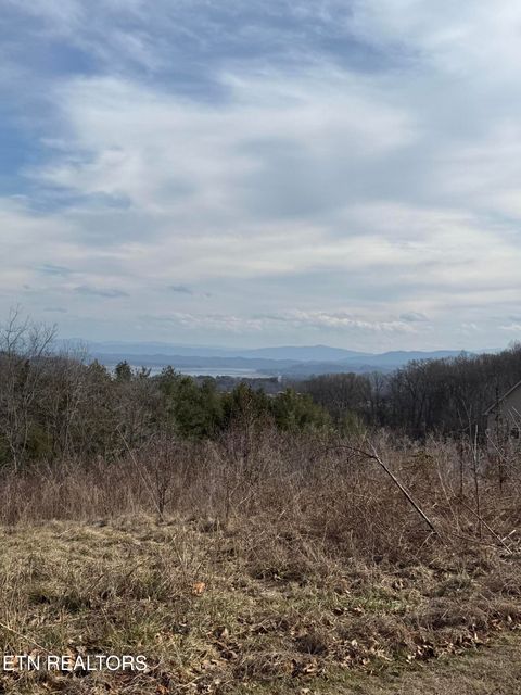 Tiny photo for 2826 Homestead Drive, White Pine, TN 37890 (MLS # 1329227)