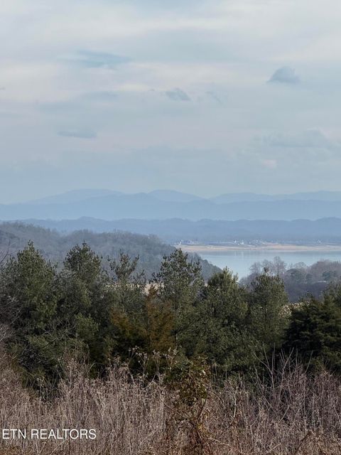 Tiny photo for 2826 Homestead Drive, White Pine, TN 37890 (MLS # 1329227)