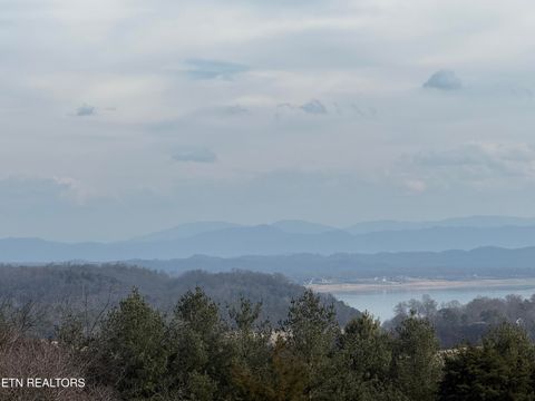 Tiny photo for 2826 Homestead Drive, White Pine, TN 37890 (MLS # 1329227)